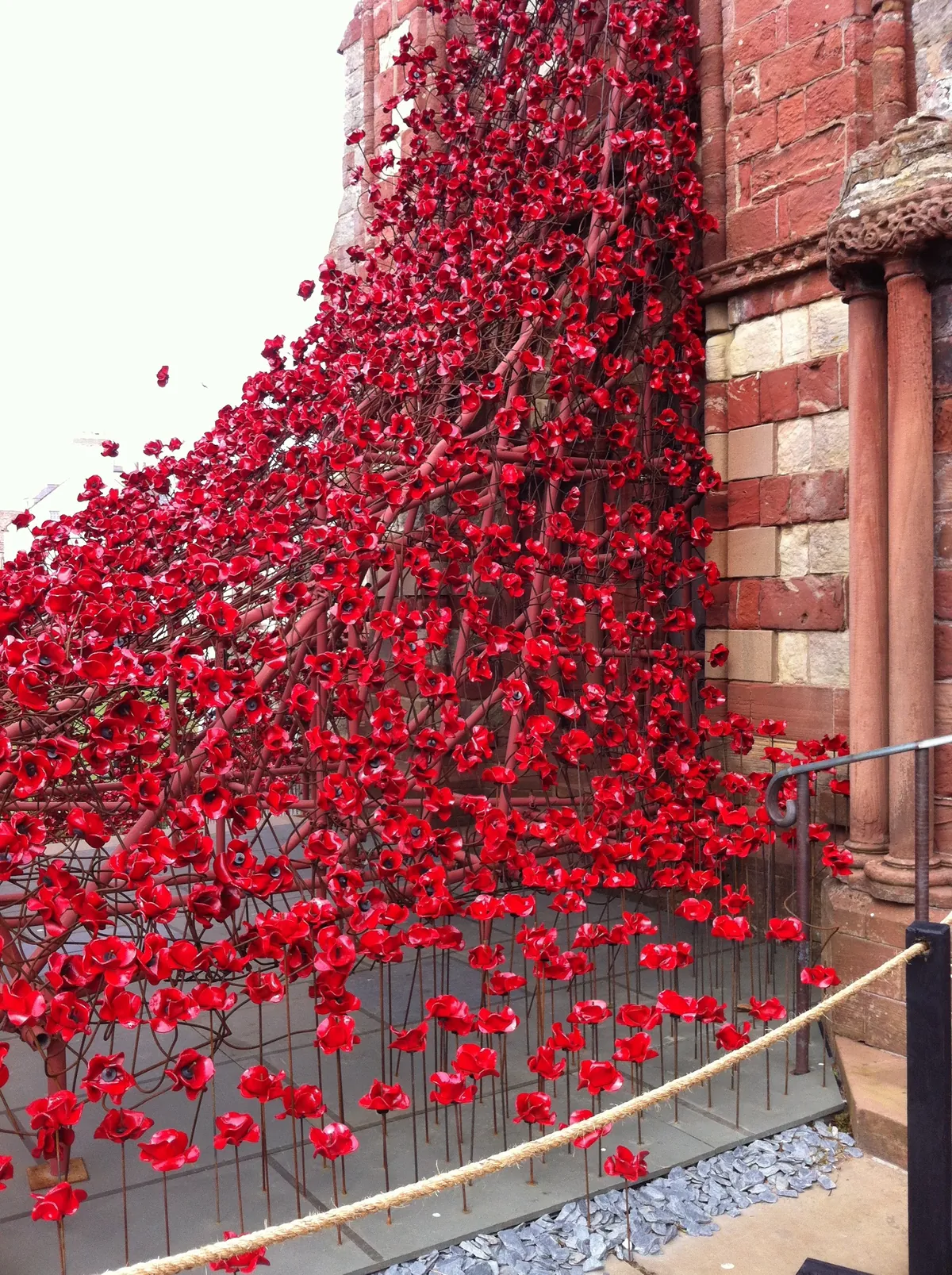 Art installation of Poppies close-up
